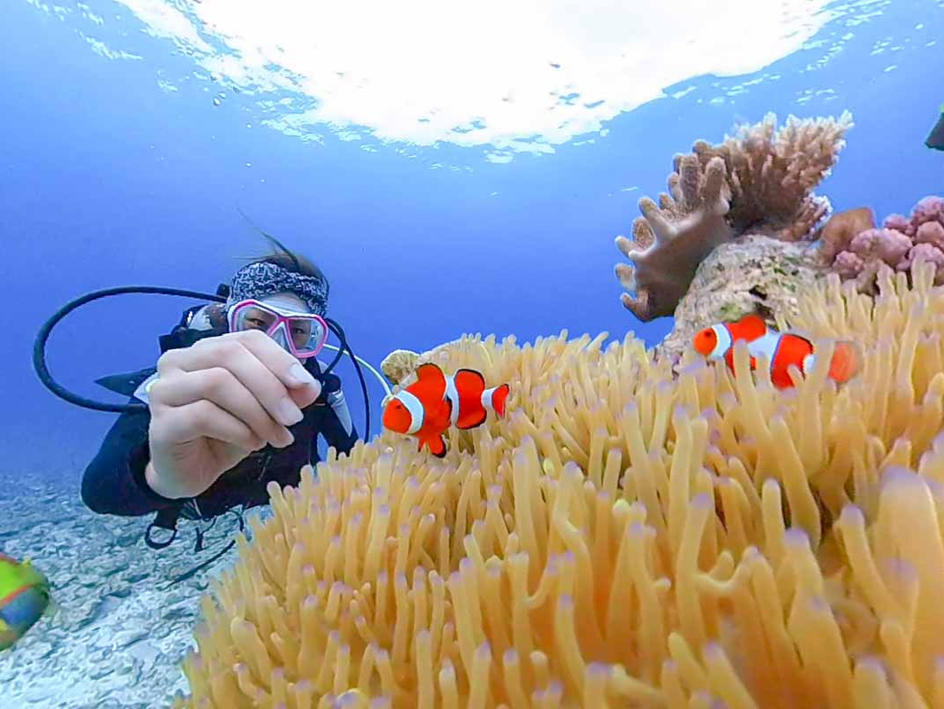 l1x̓`WĂ݂̌_CrOB@QN10΂B