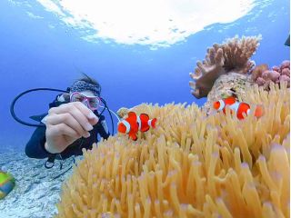 人生で1度はチャレンジしてみたい体験ダイビング。 参加年齢は10歳から。