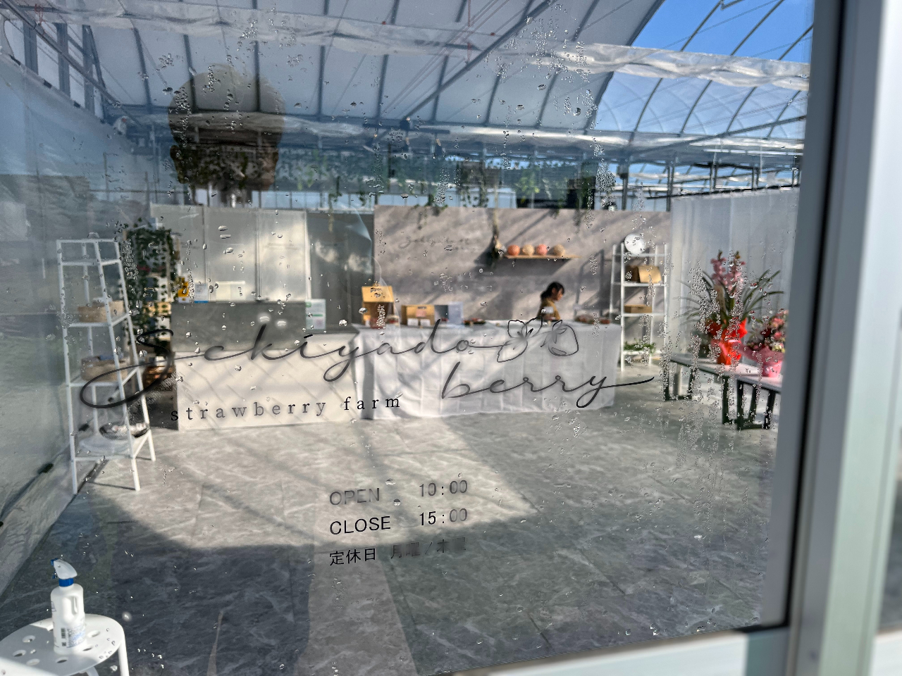 グレーモルタルを基調とした少しクールな店内です。