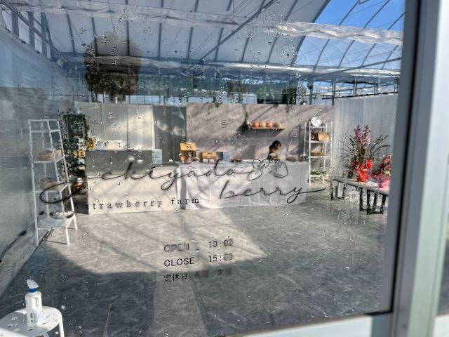 グレーモルタルを基調とした少しクールな店内です。