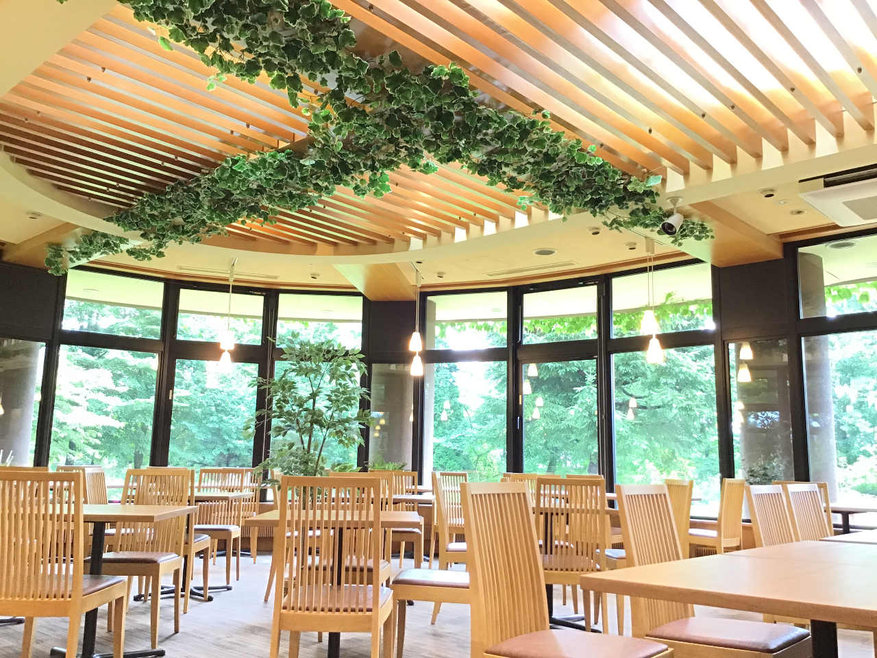 P000294526.jpg?v=1