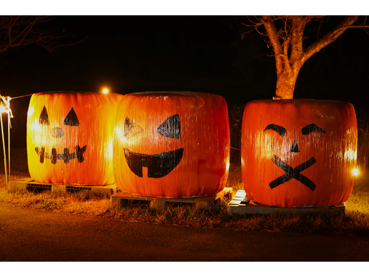 ≪共通券≫☆宮城最大級のライトアップ☆ 星あかりイルミネーションと