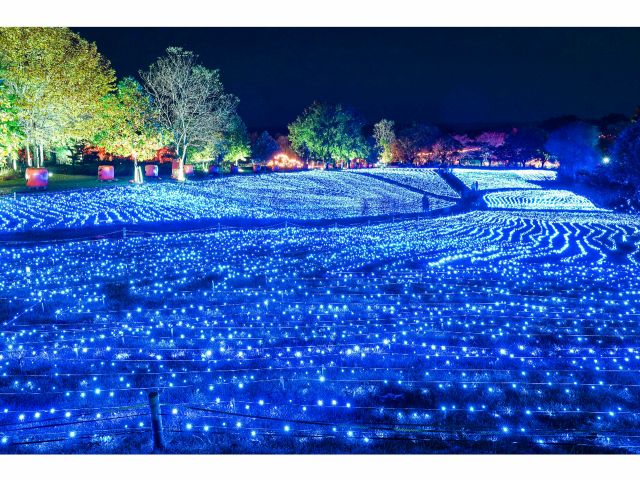 キャンドル型LEDライトが幻想的な空間を演出し、 星をイメージしたLEDライトは壮大なスケールを感じることができます。