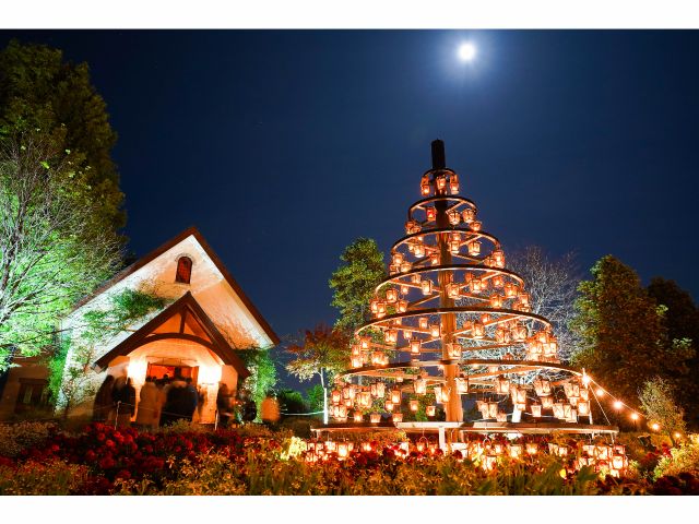 園内には様々なBGMが流れ、星空を眺めながら癒しの時間をお楽しみいただけます。