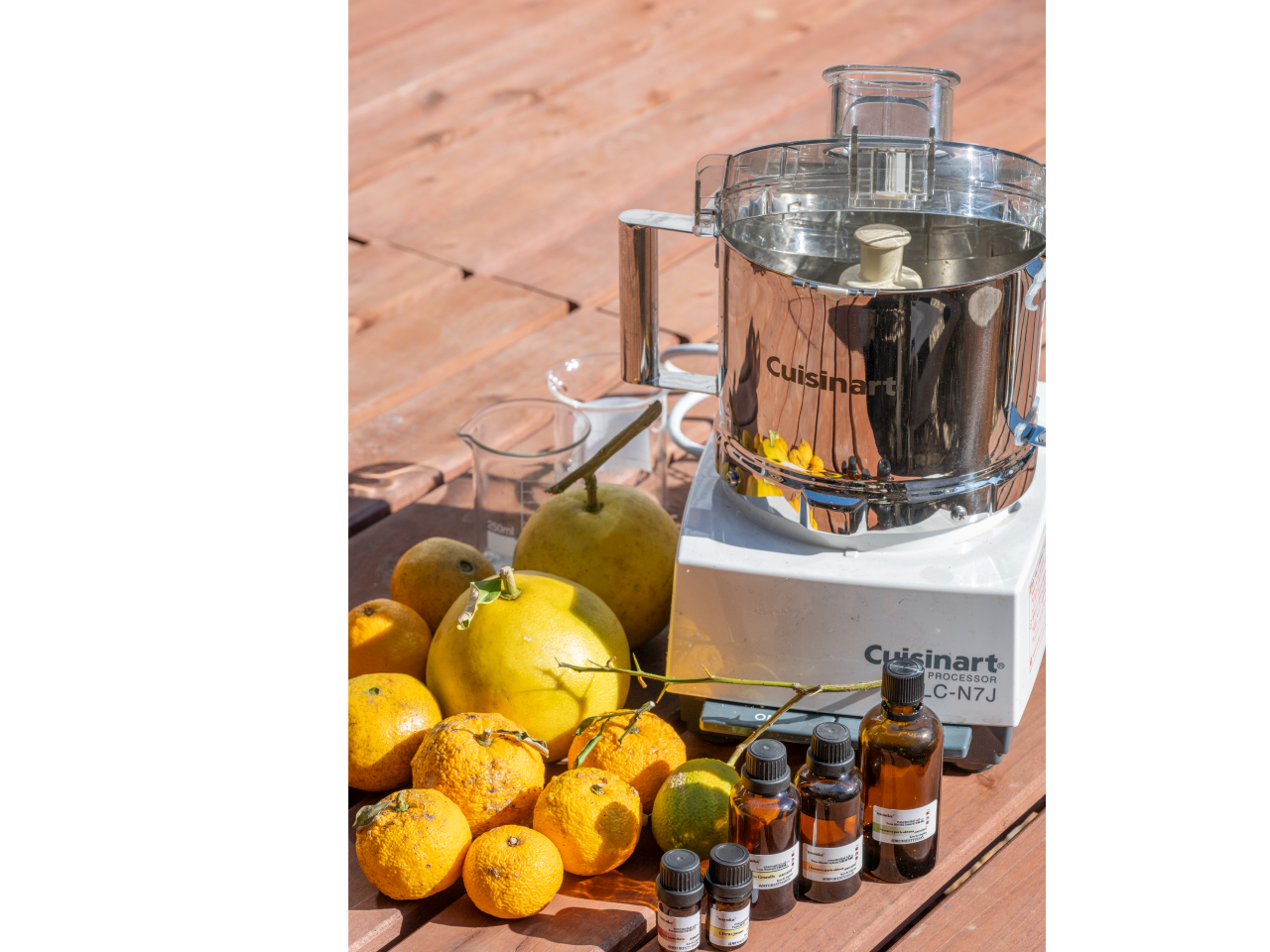 �ʎ��ʔ�̍גf�i�t�[�h�v���Z�b�T�[�j