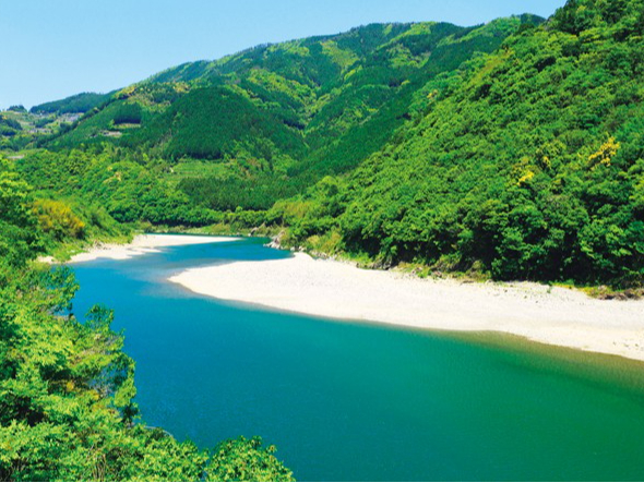 LABO����̐m���u���[�̒��]