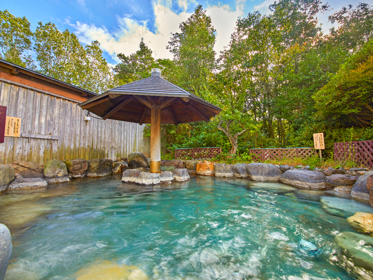 【あわら温泉×日帰り入浴×夕食バイキング】種類豊富なお風呂で味わうあわらの名湯と...