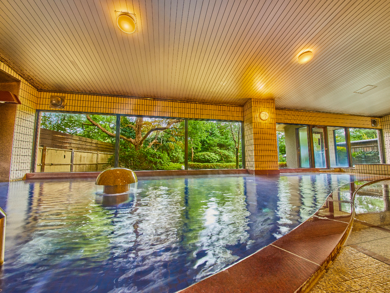 �����炪�A�j���嗁�� �Ҋ��̓��ł���