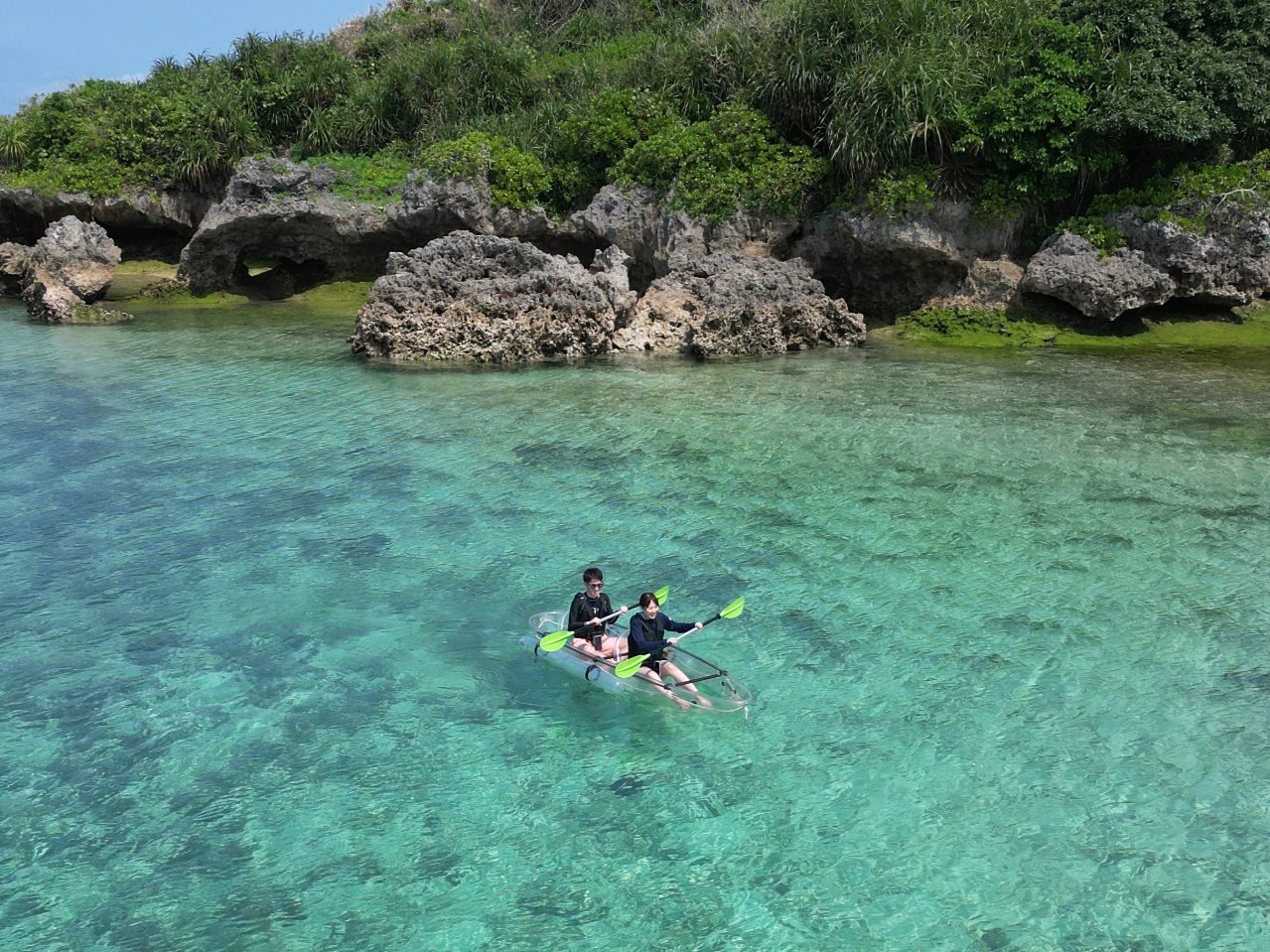 h[BełB肵Ă܂BvwJbvɂlCłI