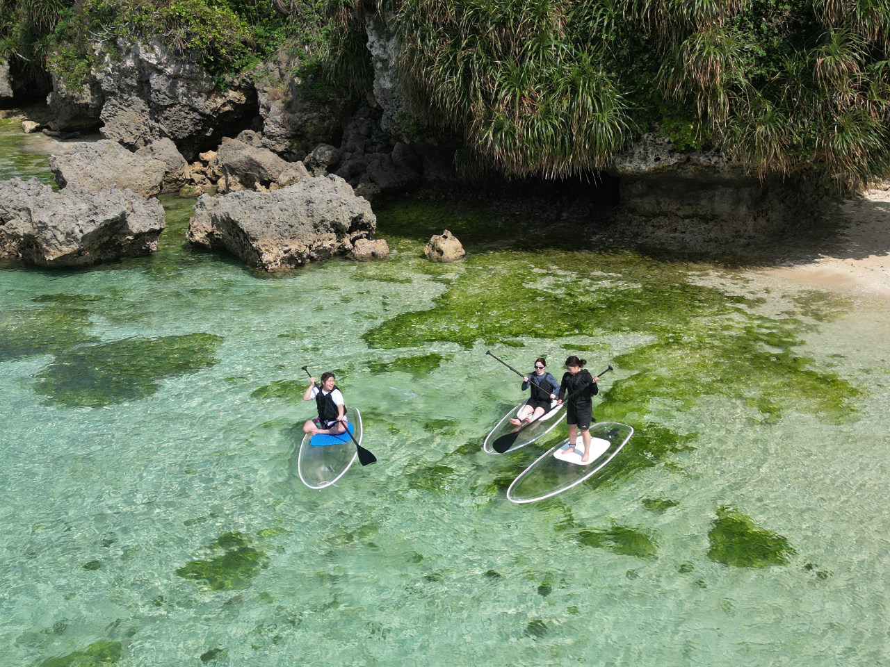 ���Ɨ��s��F�B���m�̎v���o�̂����s�ɂ��h���[��SUP��l�C�ł��I