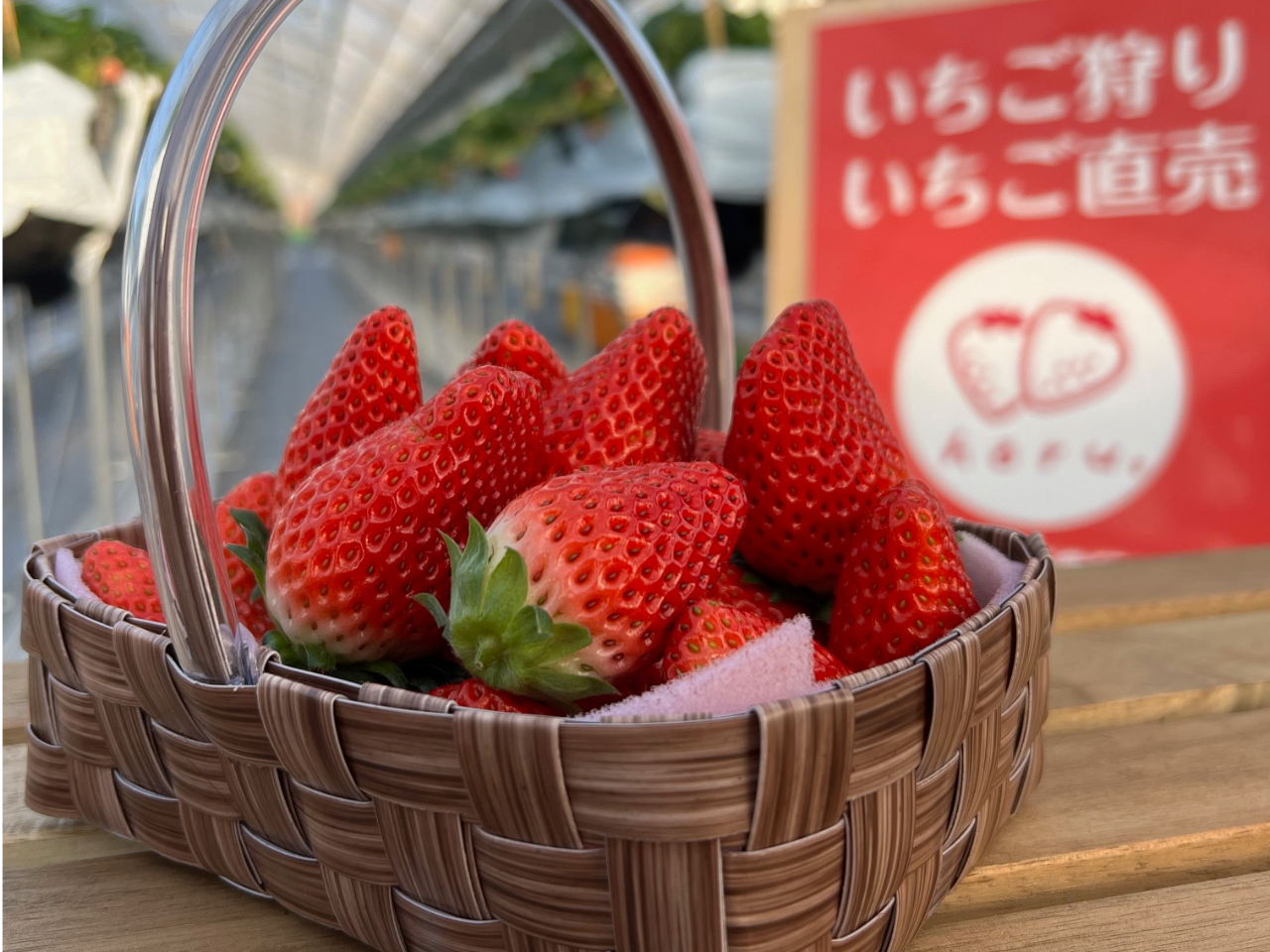 2024年1月NEW　OPEN！高設ベンチ栽培なので、立ったままいちご狩りができます♪雨の日もハウスなのでぬれません。