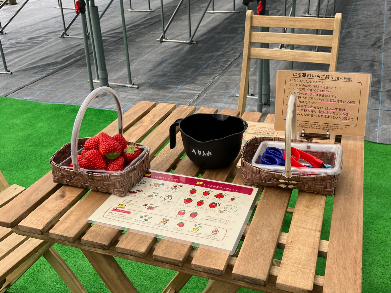 x`e[upӂĂ܂BgC􂢏܂̂ňSĂ肪ł܂