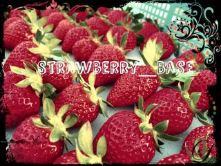 ストロベリーベースにようこそ♪