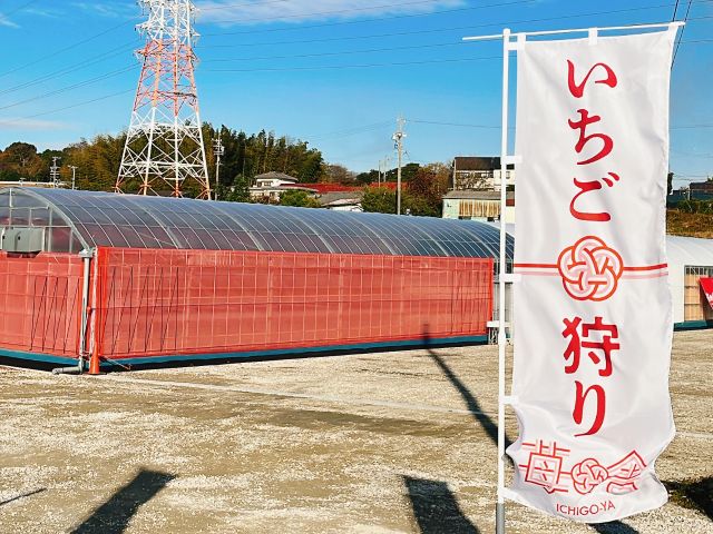 のぼりと赤いハウスが目印です