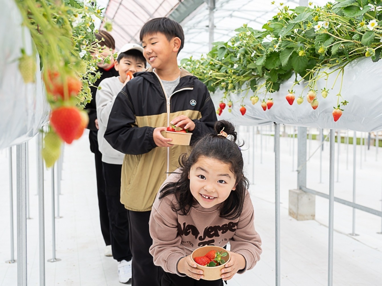 E݂ȂHׂĂAe[uŐHׂĂOK