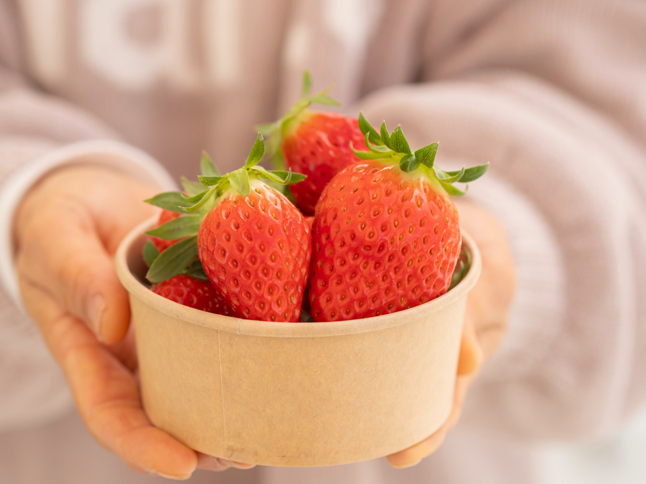 vX`bN팸̂߁AJbvgpĂ܂