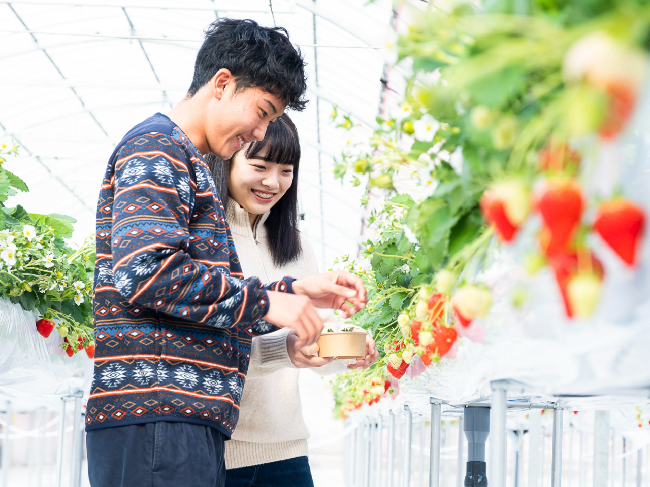 E݂ȂHׂĂAe[uŐHׂĂOK