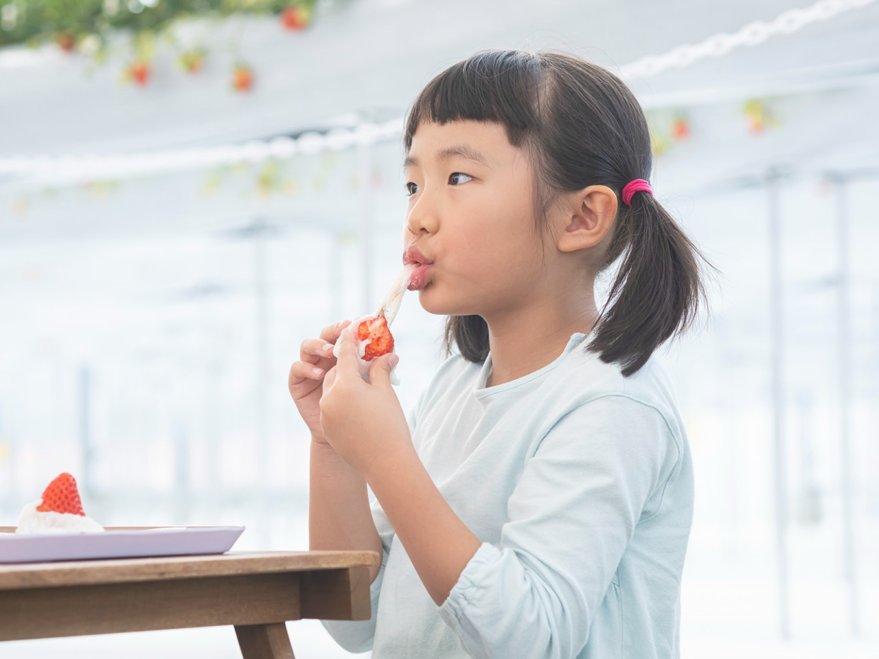 �������啟����ꂿ�Ⴂ�܂���