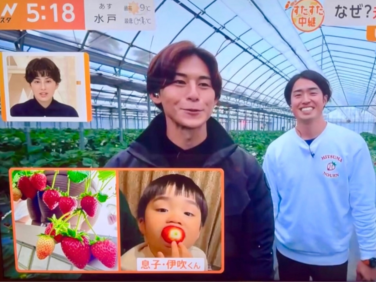 �e���r�@�V���@�l�b�g�j���[�X�@���f�B�A�f�ڑ����I