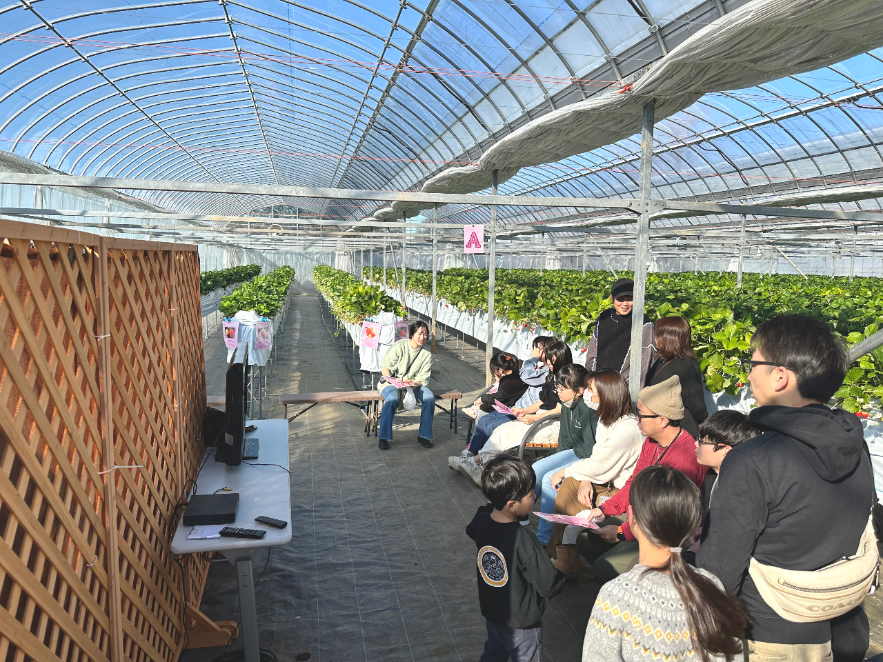 �����ē��͍ŐV��Youtube����X�^�C���I