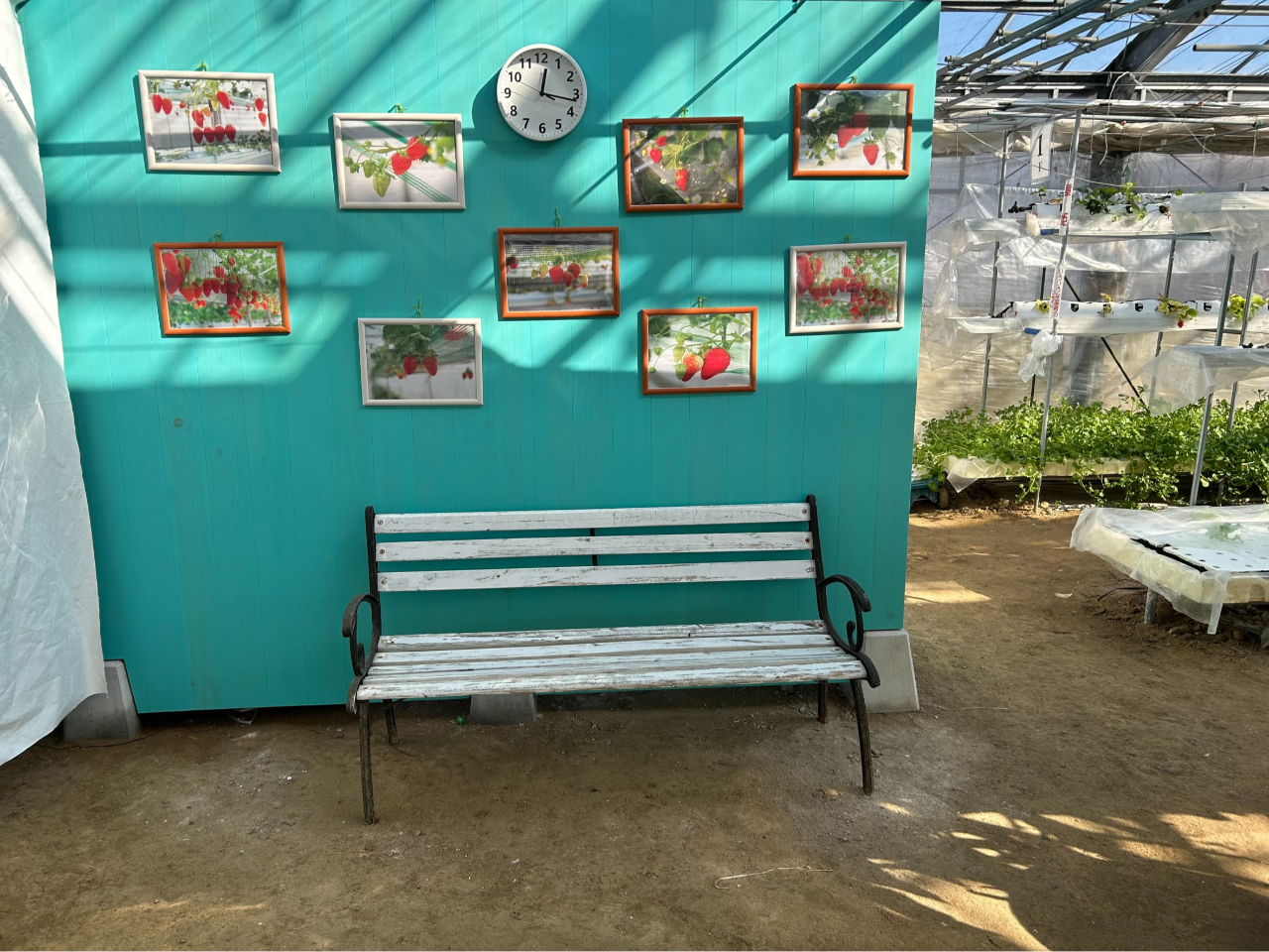 ������́A�g�ق��؁A�͕P�A�ق������Ȃǂ��͔|���Ă��܂��I