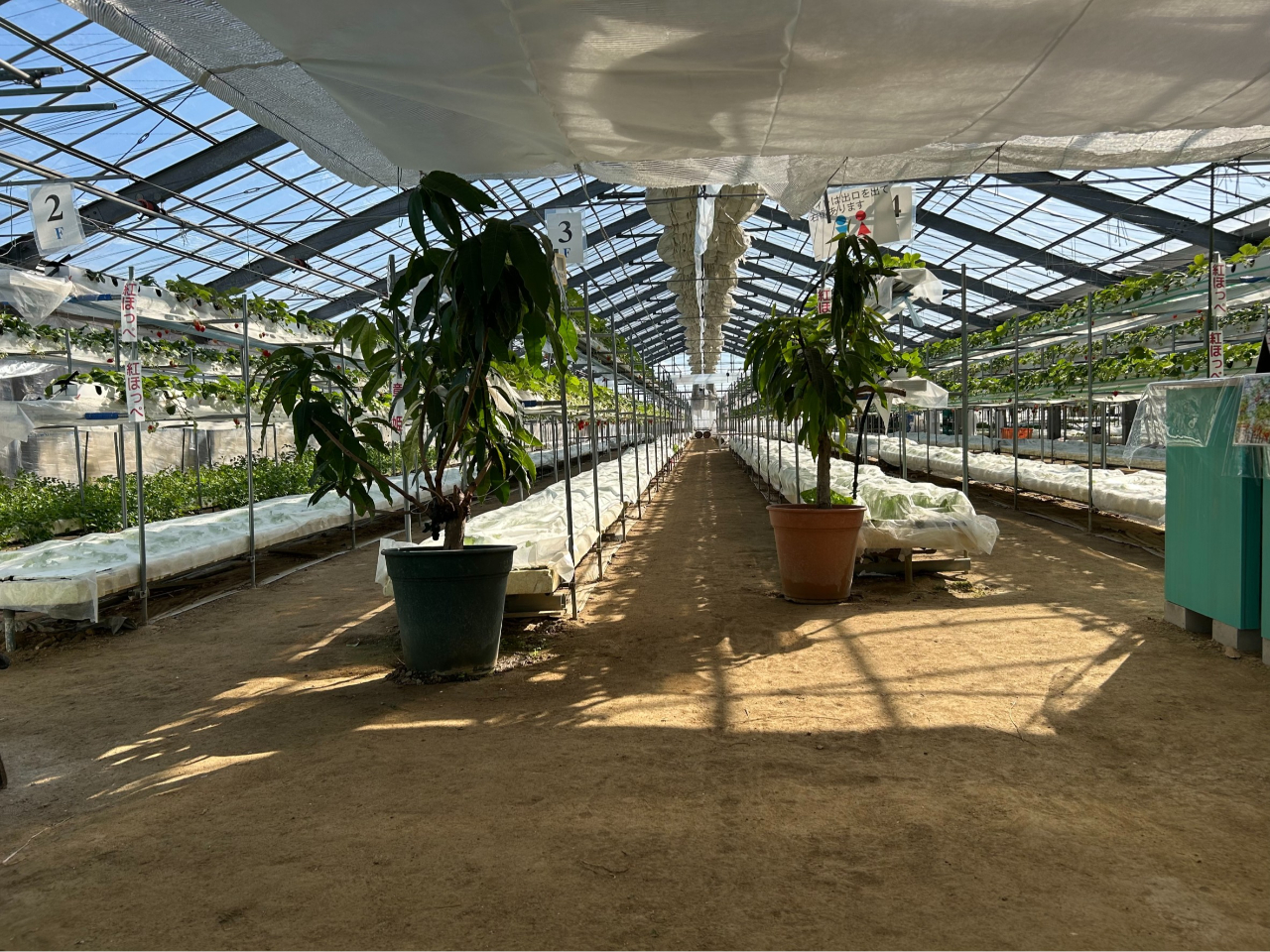 �n�E�X���͏����̂ŉ��x���߂ł���i�D�ł��z�����������B