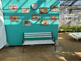 京都市伏見区のいちご狩り農園、ハワイをテーマにした「MAHALO」です♪大阪・京都からもアクセス◎