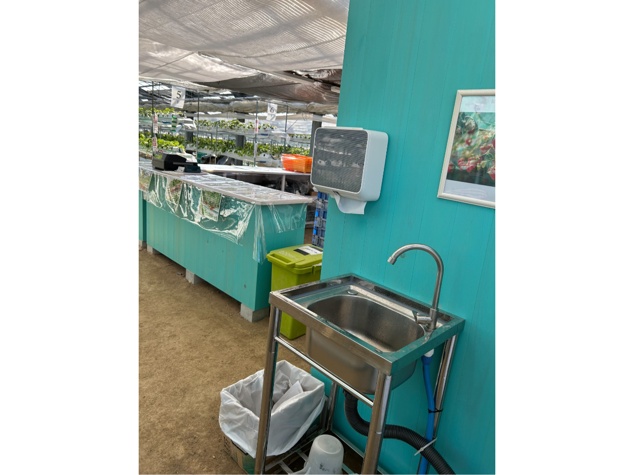 ��􂢏���������܂��B