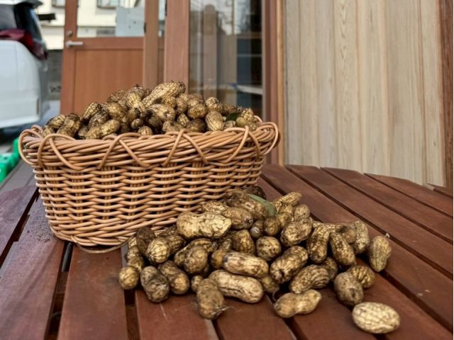 ぜひお楽しみください!