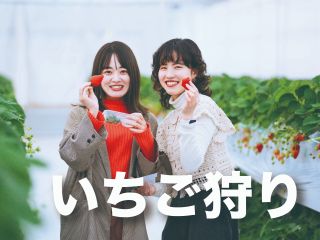 いちご狩り食べ放題☆チョコレート・練乳あります!