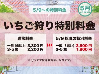 5/9から特別割引料金にてご案内いたします!