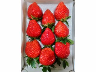 超大粒 いちご!