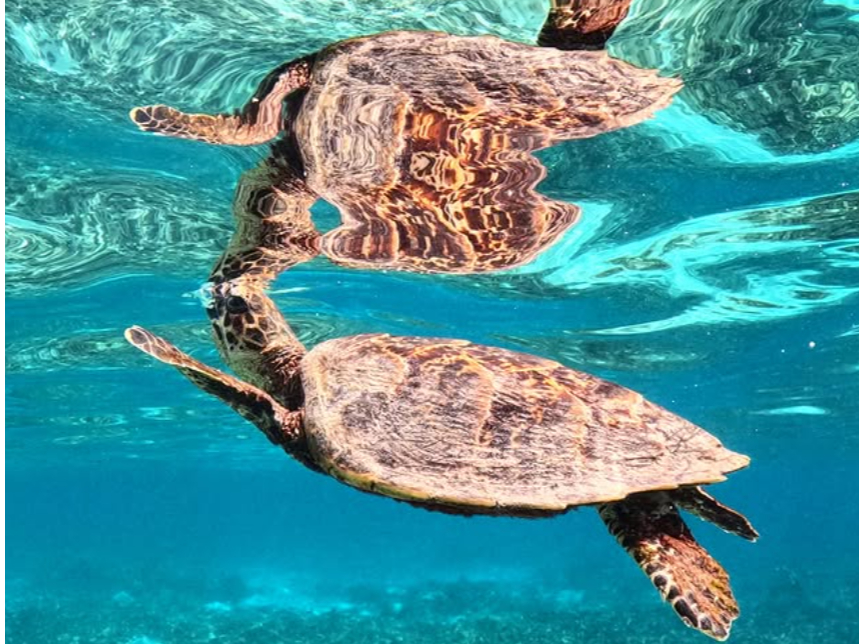 ��stay holoholo�̎ʐ^4