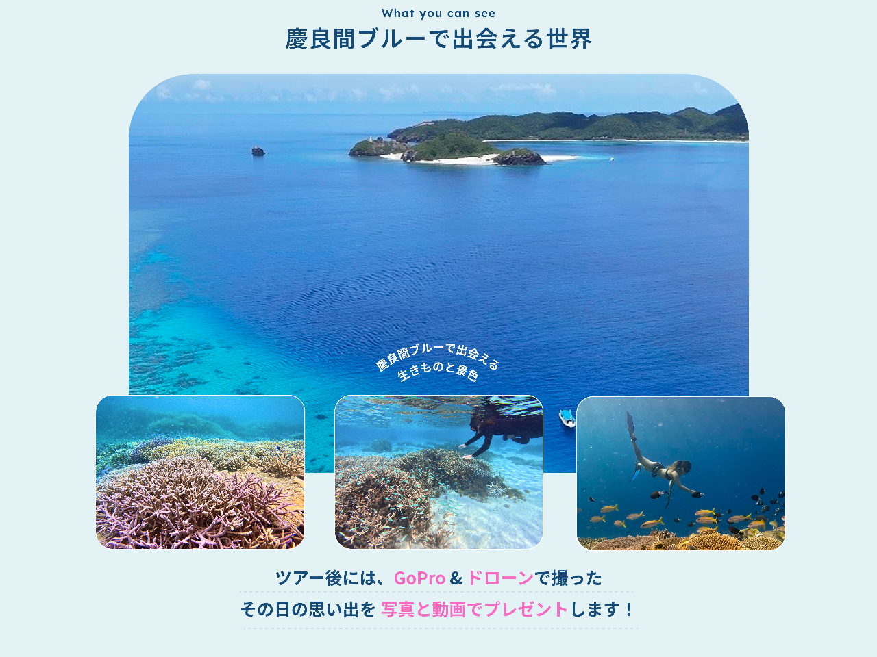 ��stay holoholo�̎ʐ^2