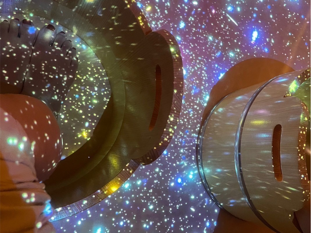 ���Ȃ��̑����ɍ炫�����E�E�E�V���o�̑���