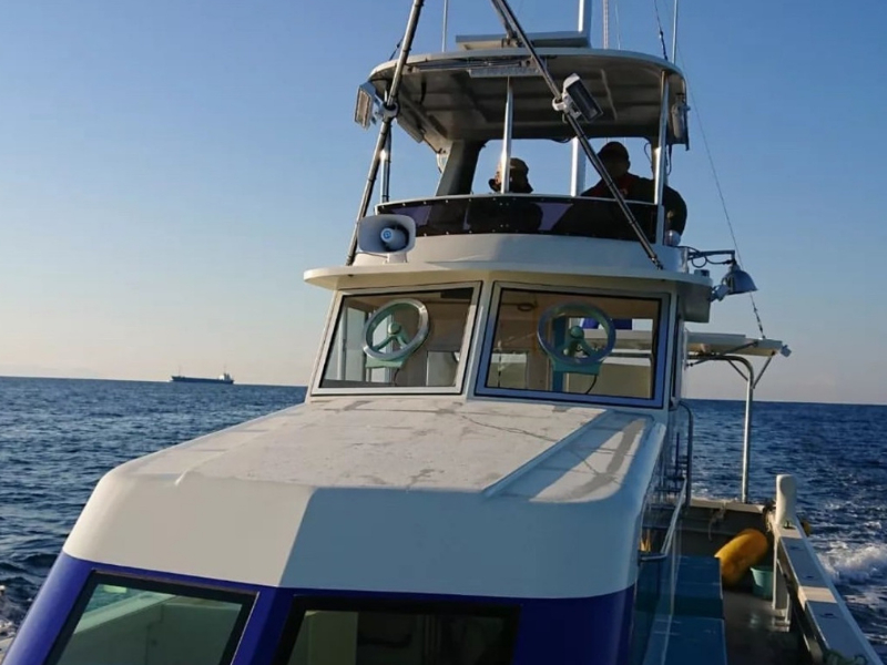 ��K�Ȃ���̒��]�͔��Q�I