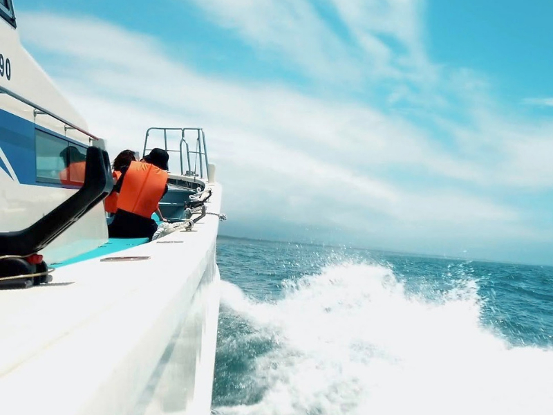 �ނ�D�Ȃ�ł͂̃X��������