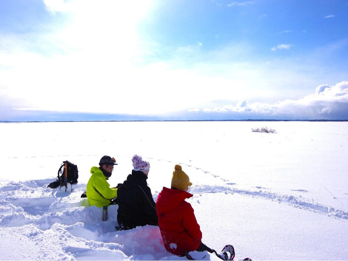【小学生~お子様OK】初めてでも安心&満足!冬のサロベツ湿原大満喫スノーシュー★...