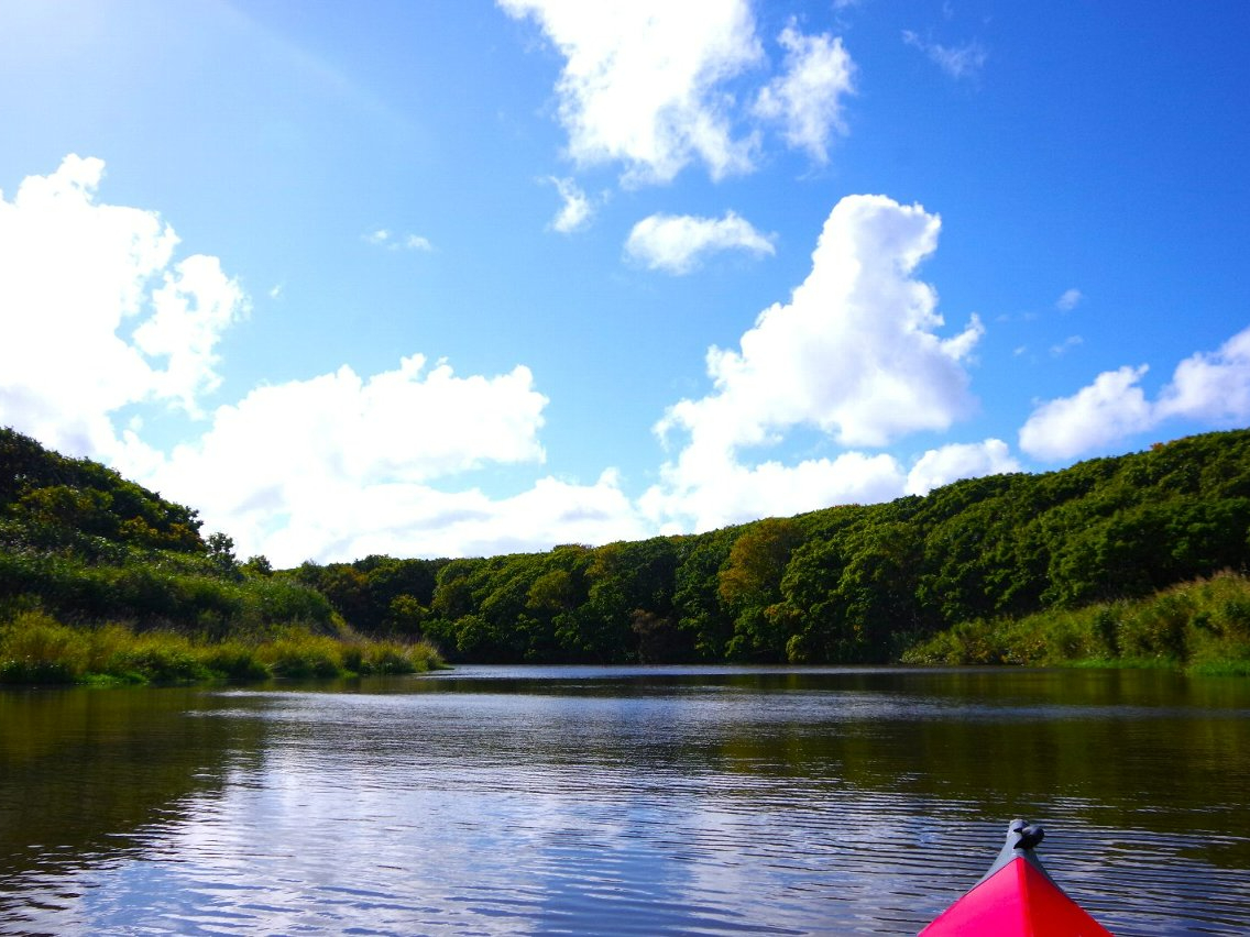 KChꏏɍŝŐӂ̐A쒹ώ@Ȃ瑆ł܂