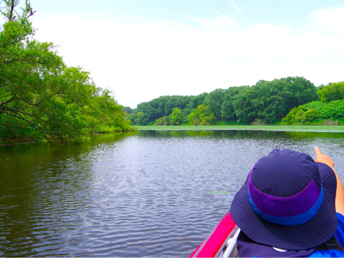 eqFlA؂ȕƂ̑fGȎvoÂ