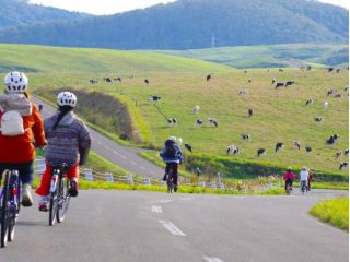 豊富町の絶景スポット「大規模草地牧場」へ向けてサイクリング!