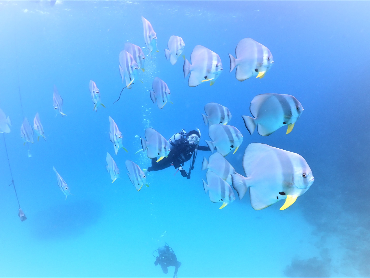 AƉĵBȐlȂȂ͂B̖ȂĂ邵Ax̍CŁBɎʐ^Ɏ߂邱Ƃł܂I