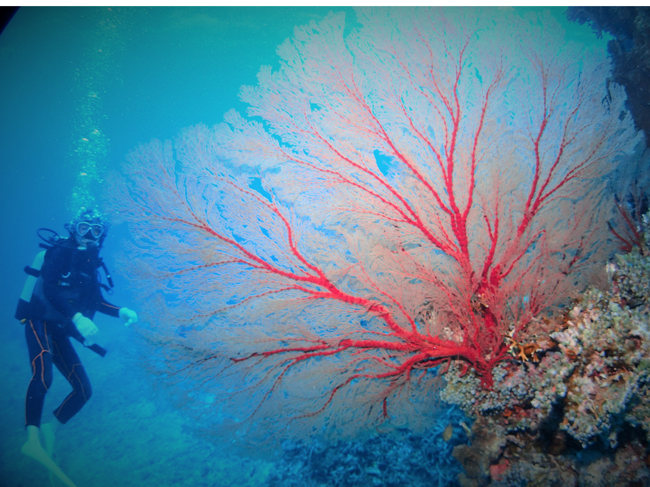 傫^ԂȃC\oíAC[WC̑\Iȑ݂ł