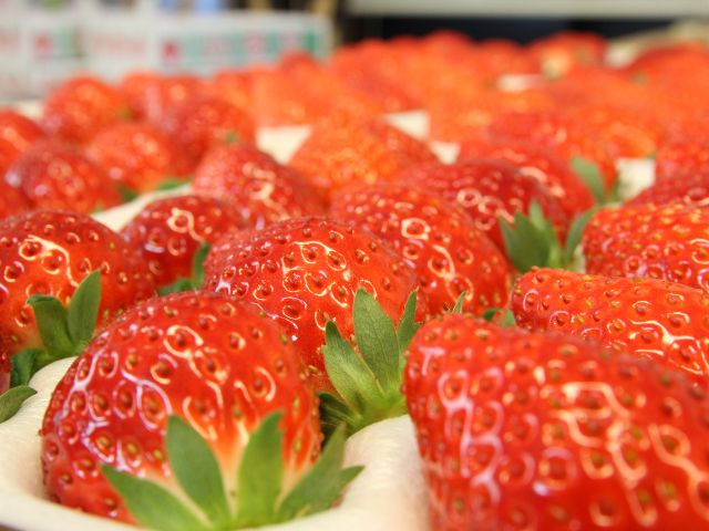 ご自宅用、御贈答用いちご各種あります!