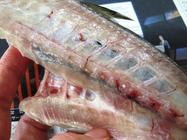 �A�W�E�O�����낵