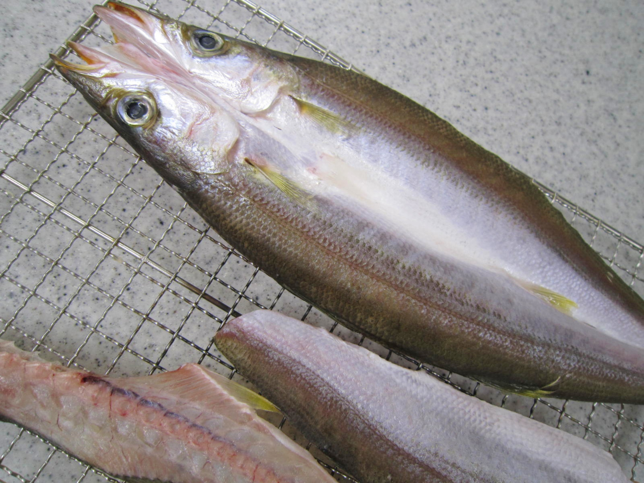 �ʐ^�̓A�W�ł͂Ȃ��A�J�}�X��銱���A�C���[�W�ʐ^�ł��B