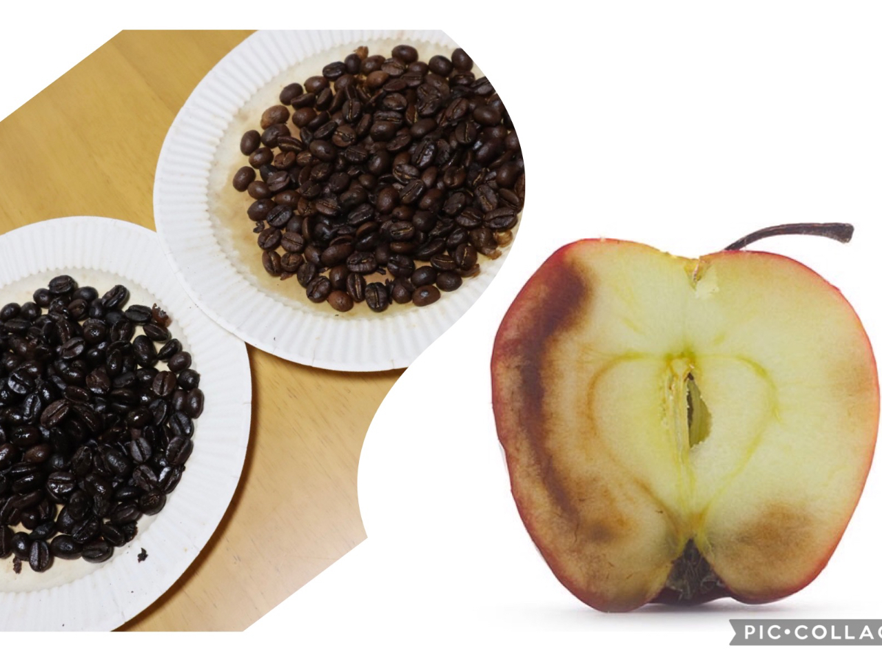 肽ăR[q[͎_ĂȂ̂ŁAĝɂǂA□킢łB