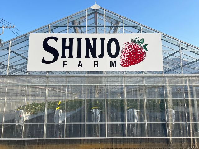 2024年OPEN!今年のいちご狩りは2025年2月から開始します!