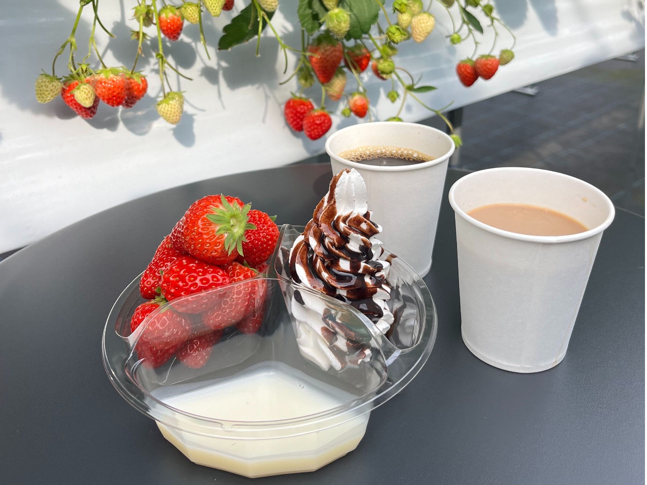 gق؁AڂAx[|bv3i䕎BgbsO(E`R\[XEzCbvN[Ȃ)Aݕ(ER[q[EJtFIȂ)Ă܂B