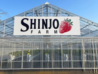 2024年OPEN!今年のいちご狩りは2026年3月から開始します!